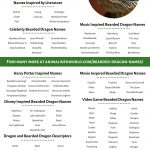 Bearded dragon names infographic