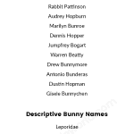 300 Bunny Names List