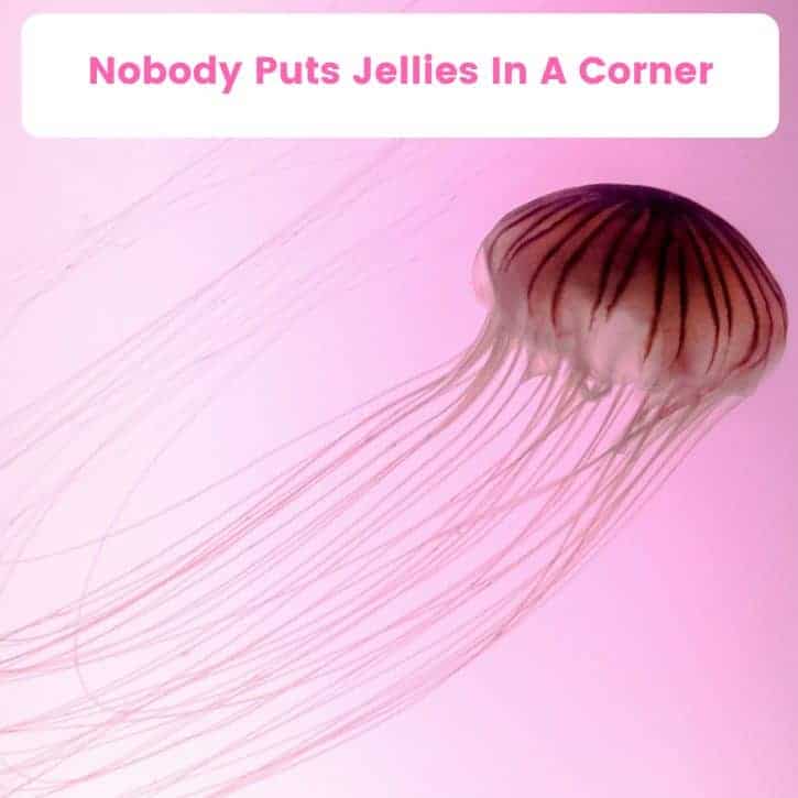 Nobody puts jellies in a corner