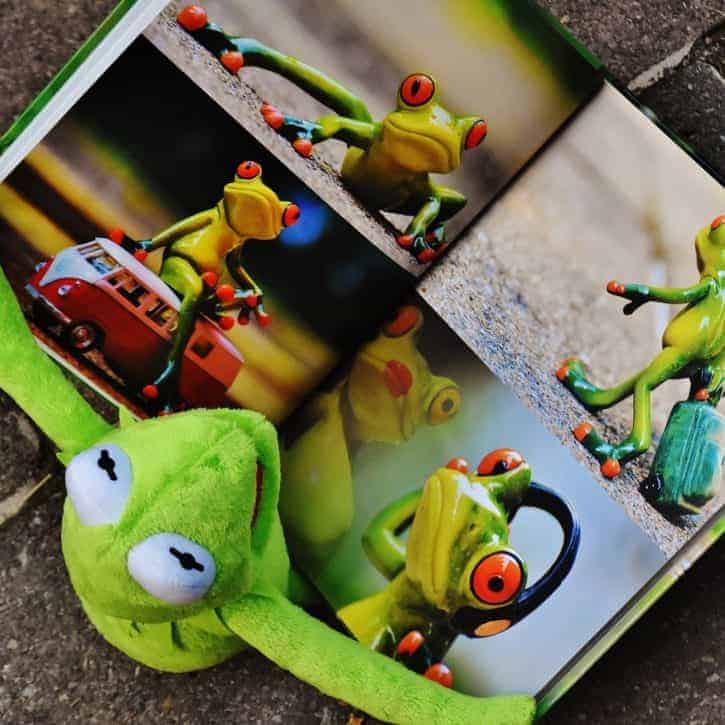 Kermit Reading Frog Book