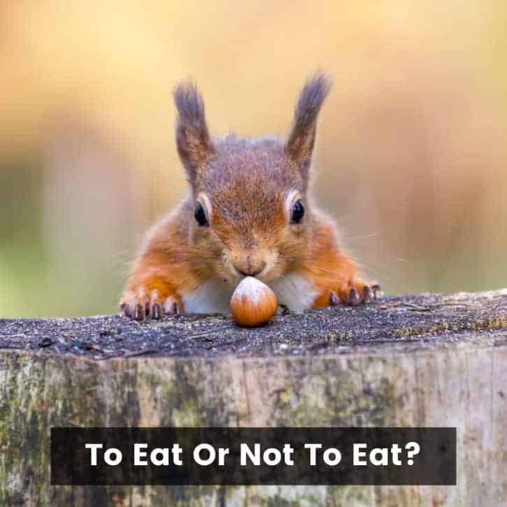 To eat or not to eat