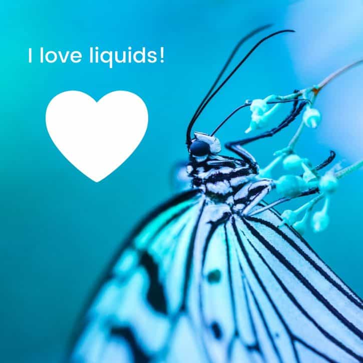 I love liquids - What do butterflies eat?