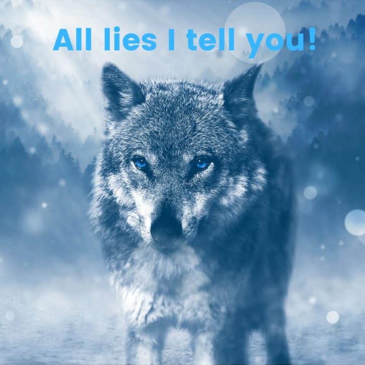Wolf With Blue Eyes