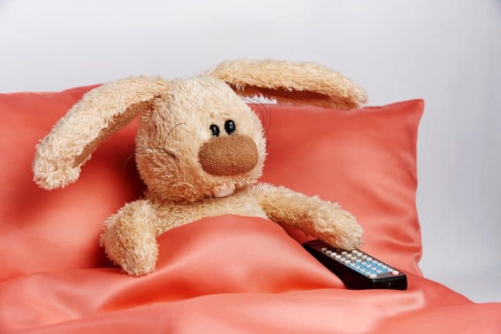 Stuffed bunny holding remote
